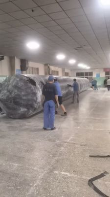 Bộ túi khí kéo dài cho tàu phóng 1m 30m Độ dài cho các hoạt động phóng tàu biển
